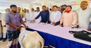ভোলার লালমোহনে ৪১ জেলের মধ্যে বকনা বাছুর বিতরণ 